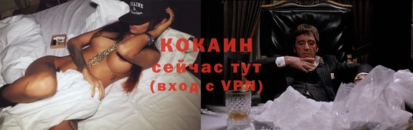 прущие крисы Армянск